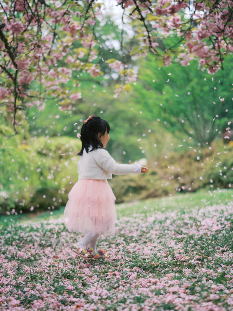 Girl smiling as cherry blossoms petals bloom captured by Settle family photographer Tanya Zagumenov