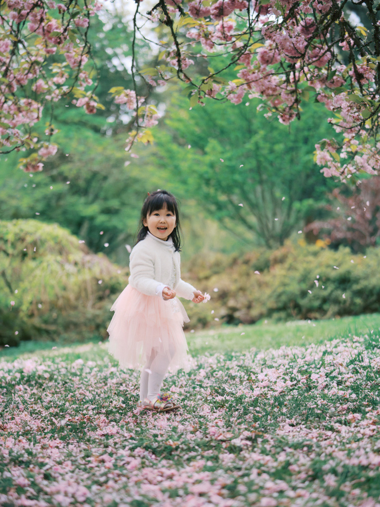 Girl smiling as cherry blossoms petals bloom by Settle family photographer Tanya Zagumenov