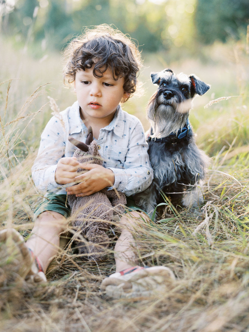 little boy and his dog family session in Seattle