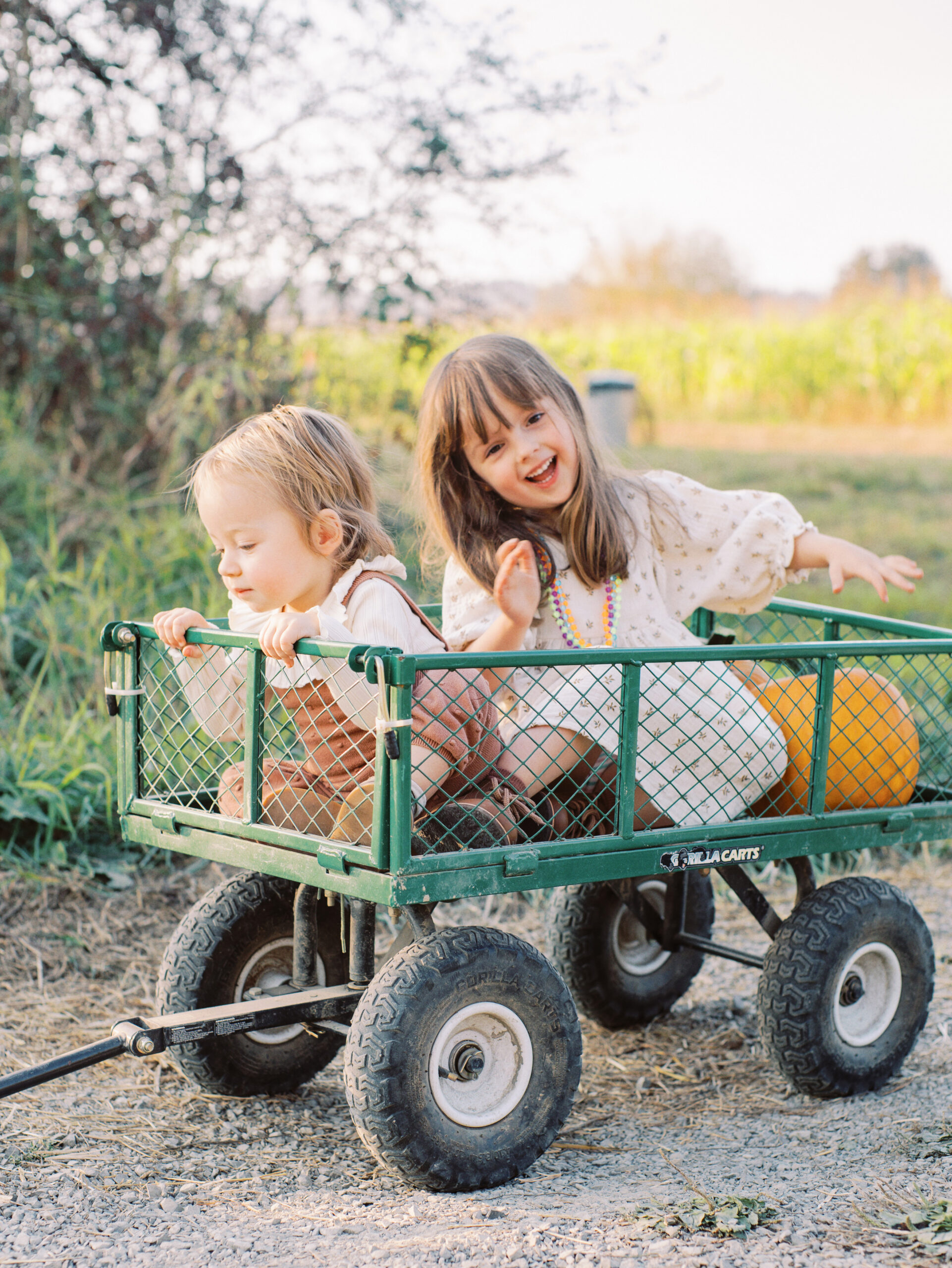 kids in a wagon in a pumpkin patch in Seattle area