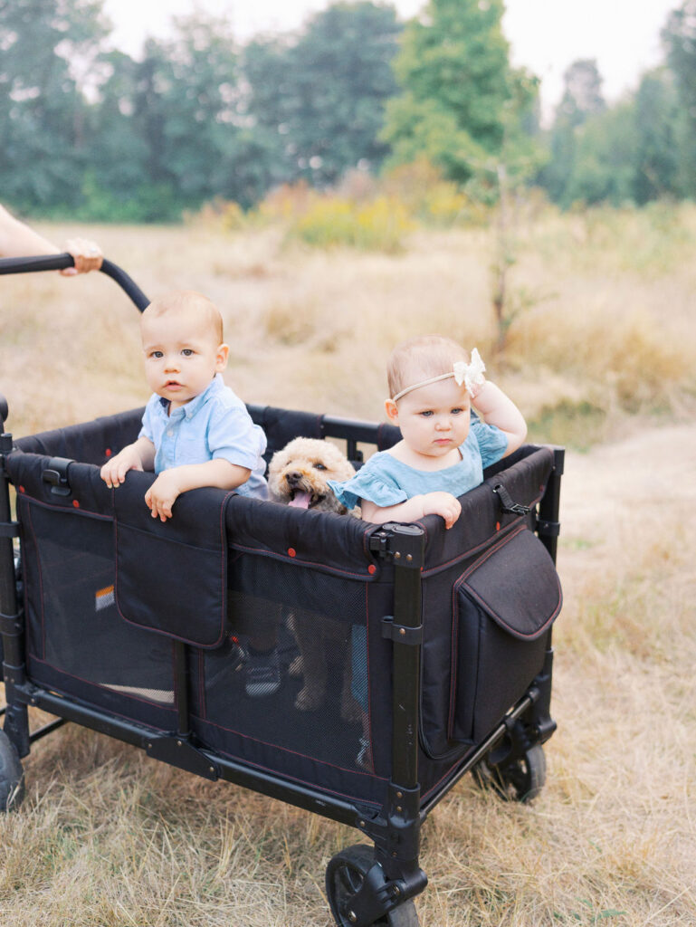 Twins sitting in a wagon in the park captured by Seattle Family Photographer Tanya Zagumenov