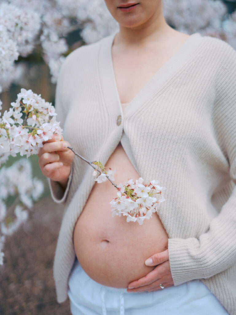 Closeup of a woman's pregnant belly with a cherry blossom branch over it